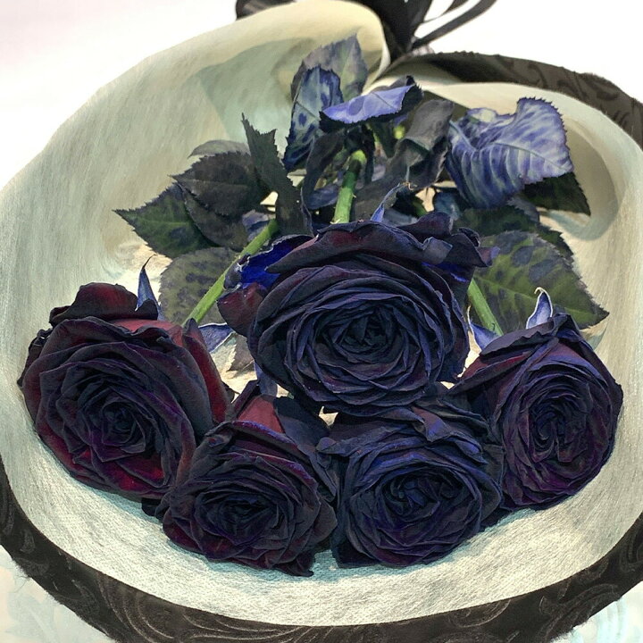 黒い バラ 5本の花束 ブラックローズ 薔薇 黒 花束 プレゼント 花言葉「永遠の愛」 ホワイトデー 卒業式 入学 お祝い 記念日 ギフト 税込 還暦プロポーズ 誕生日 卒業 退職生花お祝 結婚祝い 結婚 長寿 金婚式 クール便選択可能種類で選ぶ,花束花とギフト