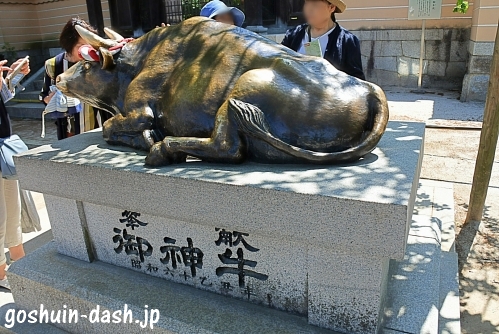 太宰府天満宮 見つけると願いが叶う 11体の御神牛太宰府魅力発見塾