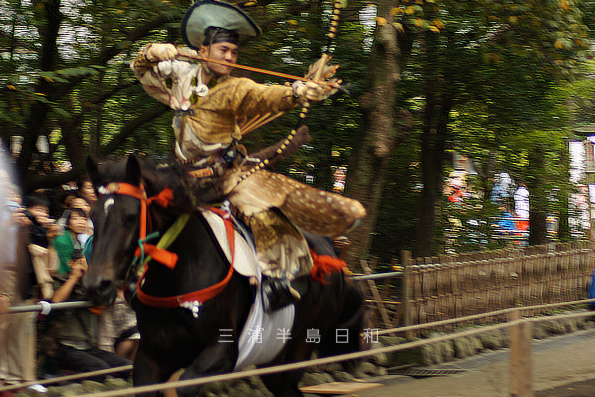 鶴岡八幡宮例大祭 sugachanさんαcafe αの写真投稿サイトソニ