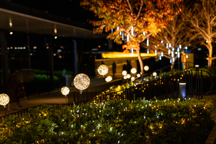 12月のホリデーシーズンにおすすめのプラン☆箱根ホテル小涌園 公式 藤田観光リゾート