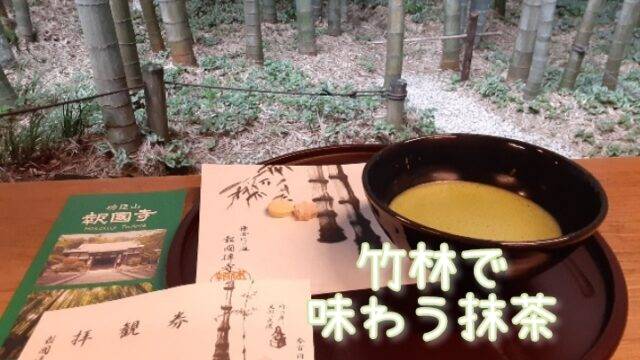 ずっと気になっていた鎌倉報国寺の竹林、休み中にようやく叶えました。まるで子どもの頃に戻れて、大変癒されました。竹林の隅に座って、耳を傾け、風の音、揺れる竹、ザワザワする葉っぱの音が響いて、暑さも静めた気がします。^^