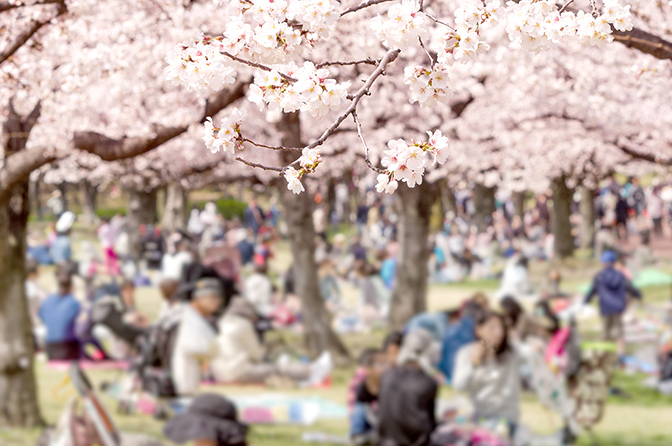 砧公園公園へ行こう
