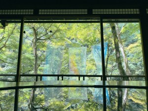 夏の嵐山・祐斎亭に映える、儚げ大人ガーリー浴衣🌿🤍 着物レンタル 梨花和服