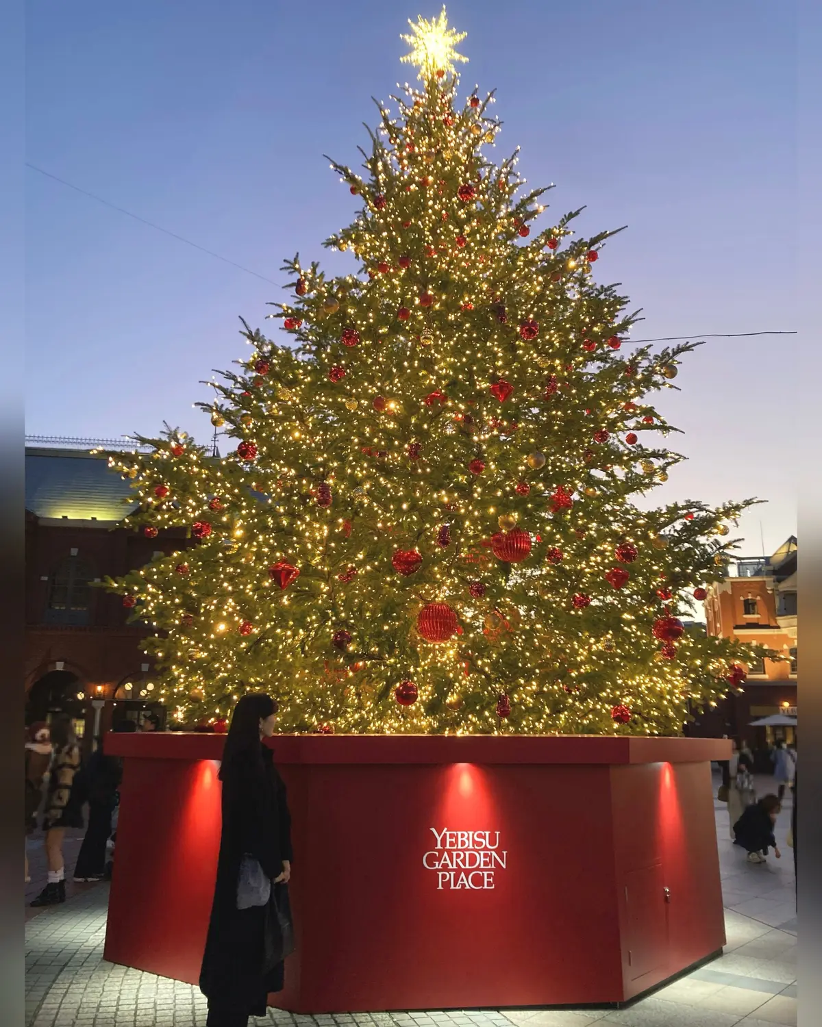 クリスマスツリー@恵比寿ガーデンプレイススタッフブログ七呂建設 - 注文住宅を鹿児島・宮崎・熊本で建築する工務店 デザイナーズ住宅