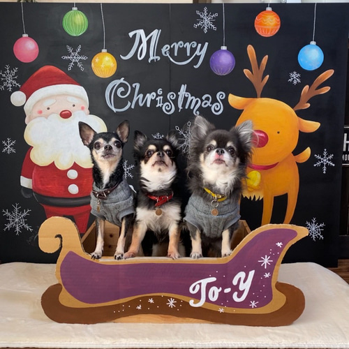 クリスマスならでは！きらめく豪華なフォトスポットがいっぱい！ - フォトスポットファクトリー medic