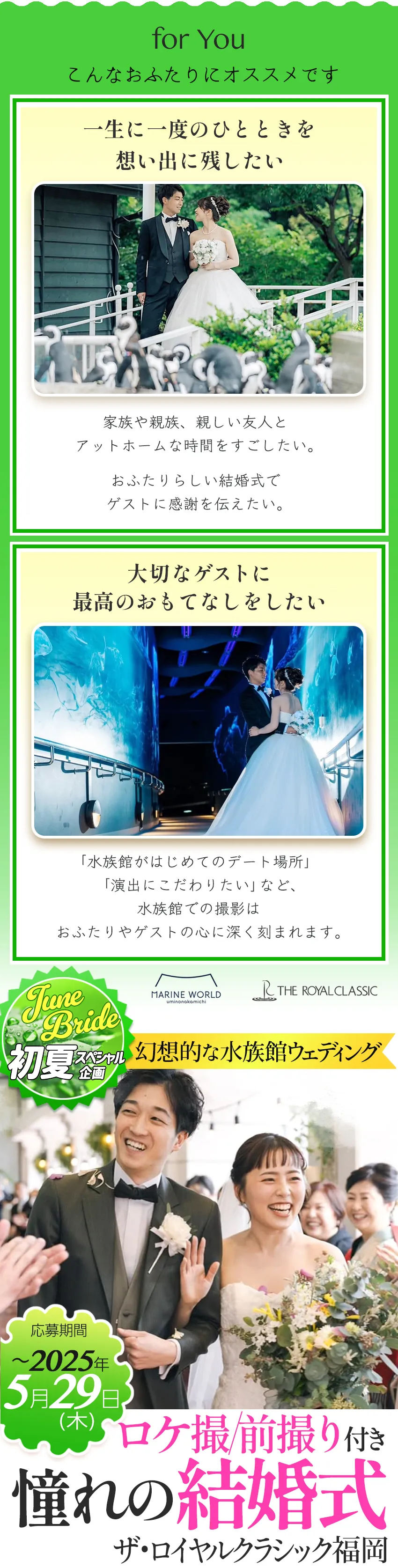 大人気マリンワールドウェディング🐬🫧‪ ・ 憧れの水族館で一生の思い出作りませんか✨️ ・ベルクラシック福岡大濠大濠福岡花嫁全国の花嫁さんとつながりたい日本中の花嫁さんと繋がりたいプレ花嫁2024春婚2024夏婚2024秋婚2024冬婚結婚式準備‬