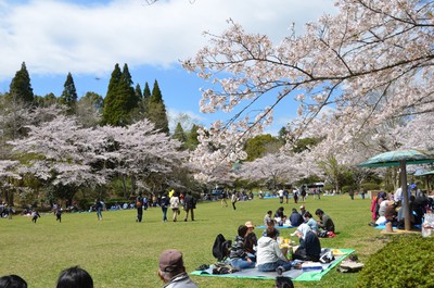 公式 茂原市 on X: 