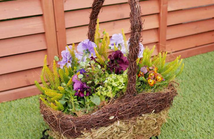 クリスマスの寄せ植えガーデニング教室DIYホームセンター ジャンボエンチョ