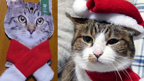 セリア ぬいぐるみコスチュームクリスマスサンタサンタハットぬい活