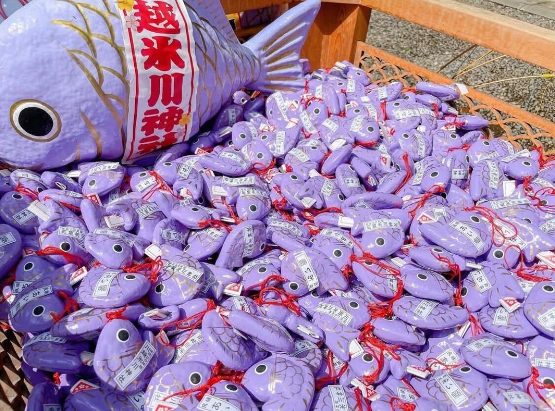 kozue_sabanekoさんの投稿24ねん12月15日撮影。川越氷川神社の一年安鯛みくじです。オレンジは、私の好きな色なので、嬉しいです。 川越 市地域PR埼玉県日本観光フォトコンテスト関東地方神社川越氷川神社おみくじ 日本の魅力