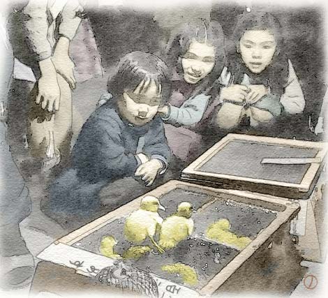 お祭りで見かける「カラーひよこ」とは？ひよこすくいの裏側と問題点 - CHERIEE あにまるマガジン