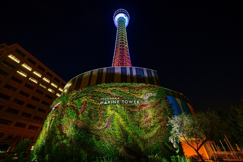 大阪泉南七夕の夜空を彩る、日本最大級のビーチランタンイベントが7月8日 土 、9日 日 に開催決定！株式会社TryHardJapanのプレスリリース