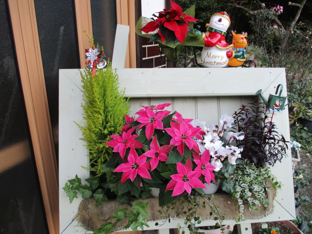 雪だるまのツリーと寄せ鉢セット クリスマス 送料無料シクラメン クリスマスツリー クリスマス プレゼント お歳暮 お正月いつもアンのお花屋さん