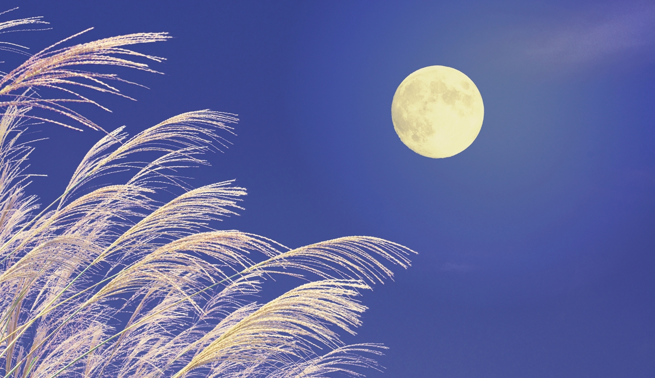 中秋の名月 暦生活お月見暦生活日本の季節を楽しむ暮らし