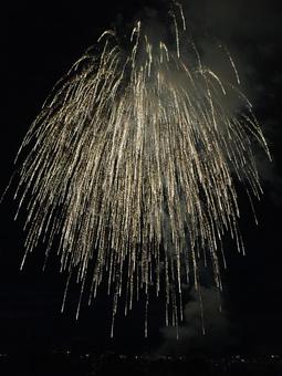 花火の種類株式会社ライズ