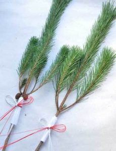 根引松のお正月飾り〜京都の門松飾り方編