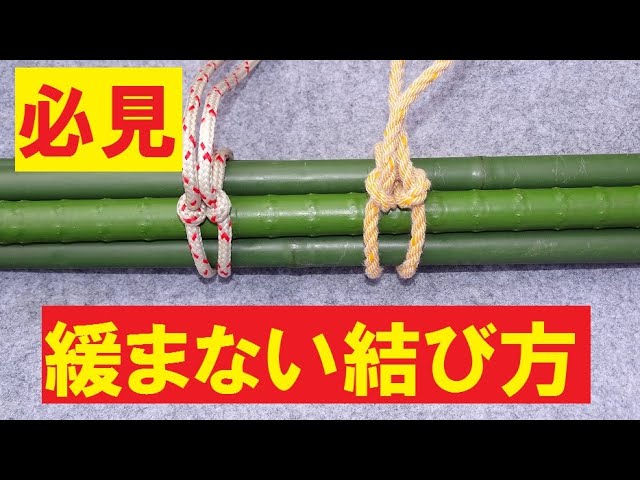 上野動物園で門松の梅飾り技法を習得: ギャラリー静河