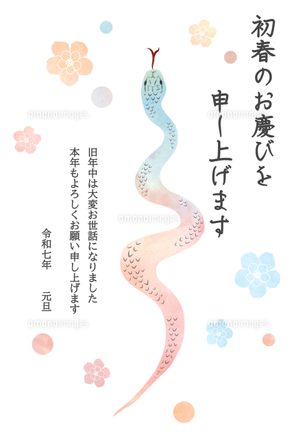 干支 巳年・蛇 ・かっこいい イラスト年賀状デザインKJN-006NTカメラのキタムラ年賀状