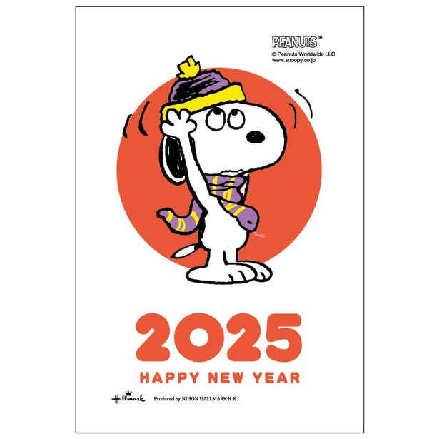 スヌーピー お年玉袋」の人気商品一覧安い商品を通販サイトから探す - 価格.com