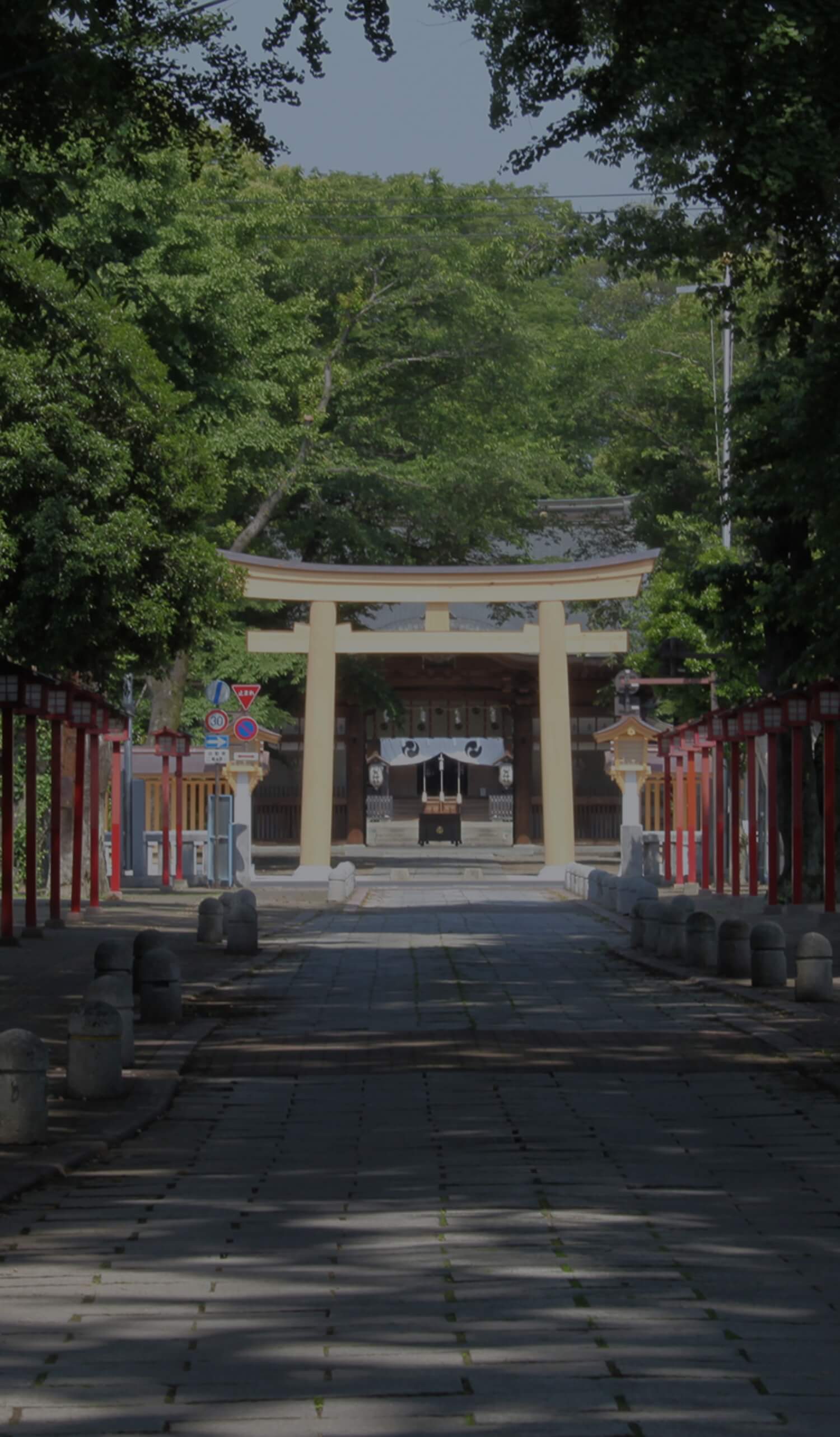 OYAMA Groovin' FES 2024☆Night @須賀神社イベント掲示板ふらっとろーかる