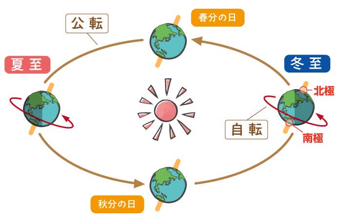 二十四節気「夏至 げし 」6 21～7 6頃