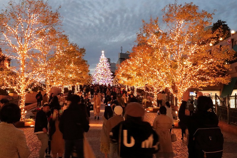 colorful daysさんの投稿 恵比寿ガーデンプレイスことりっぷ