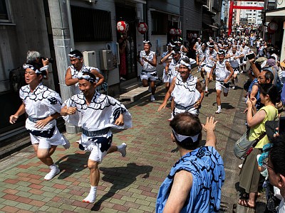 月島 佃島 住吉神社の祭礼 - 薔薇と自然のエッセイ
