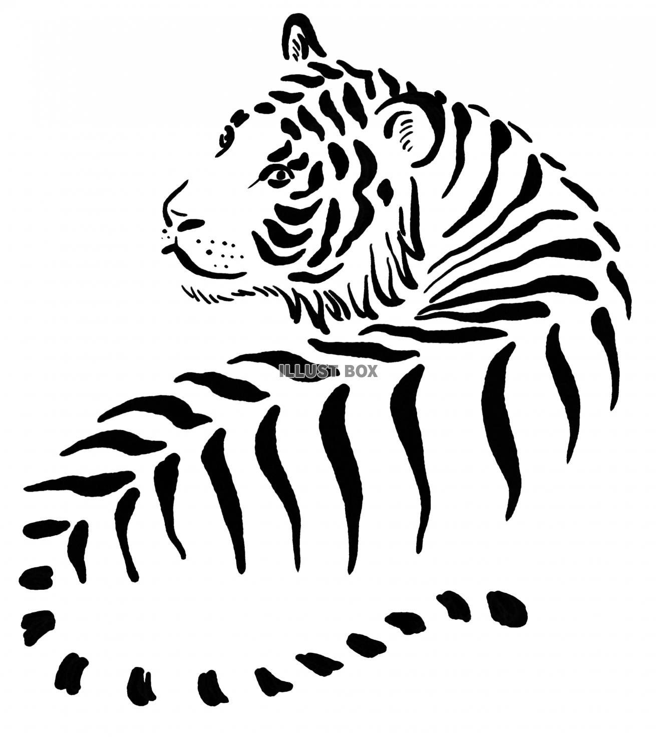 年賀状虎イラスト無料イラスト・フリー素材なら「イラストAC」