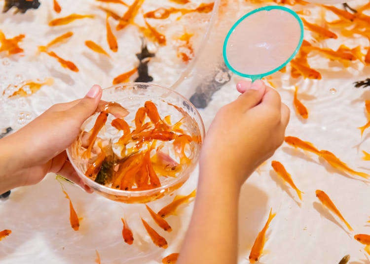 屋台の魅力とおすすめメニュー2025 年のリアルなLemon8ユーザー体験