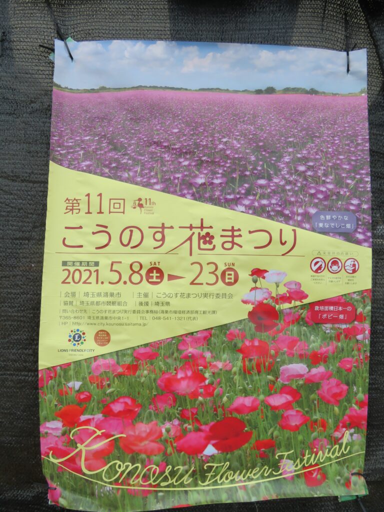 鴻巣市 色鮮やかなポピー畑は今が見頃！「こうのす花まつり」は5月18日まで♪リビング埼玉Web