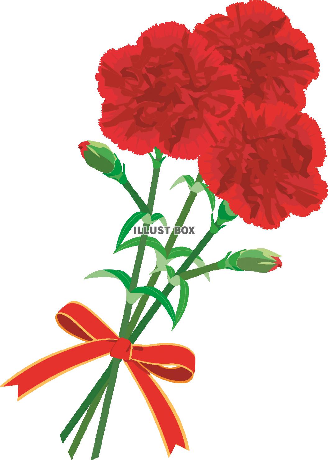 カーネーション 母の日 のかわいい手書きフリーイラストイラストわくわくBOX