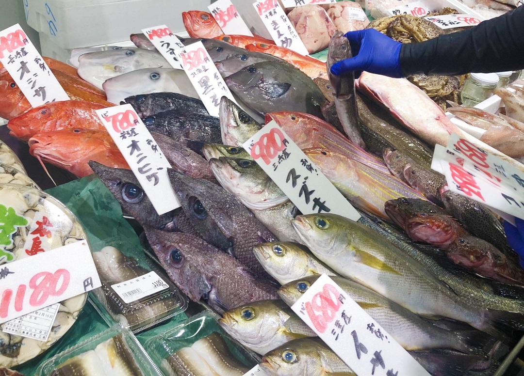 お供えの鯛について晴耕雨読
