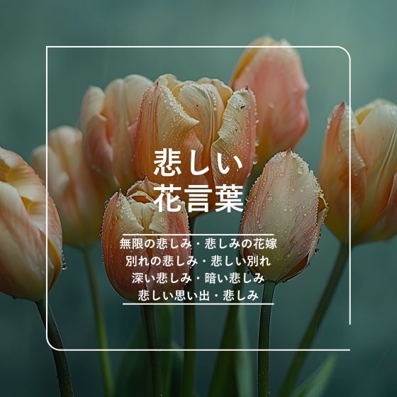 サフランの花言葉色別や誕生花、名前の由来観葉植物・お花の通販 AND PLANTSアンドプランツ