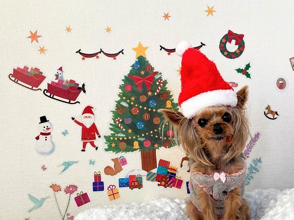 ダイソークリスマス2022ツリーやグッズ・オーナメントは？SMILE BREEZE