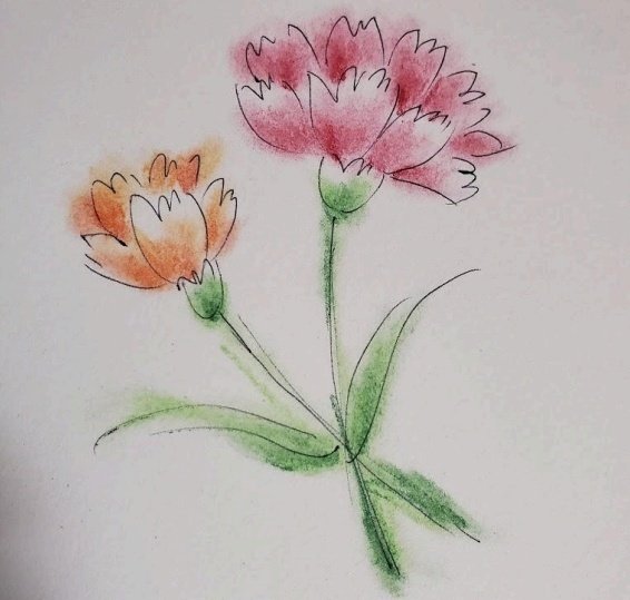 ☝︎簡単 母の日イラスト・カーネーションの描き方﻿ ﻿ ✏︎書き方のコツ﻿ ﻿ 上に向かって﻿ 交互に花びらを重ねてみよう・∇・ ♡﻿ ﻿✏︎この投稿を保存して書いてみてね！﻿ ﻿ もし『描いてみたよ〜』という時は﻿ @mamacarrie_ai をタグ付けしていただけると﻿ 飛ん