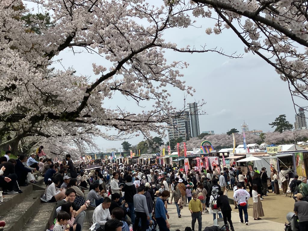 大阪 お花見 屋台にライトアップ！2025年行くならココ