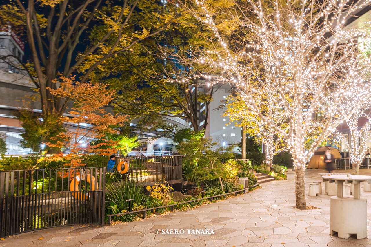 開催 20 年目となる冬の風物詩 今年は TOKYO TORCH Park にも拡大 「丸の内イルミネーション2021」開催プレスリリース配信・掲載ポータルサイト PRESS CUBE プレスキューブ