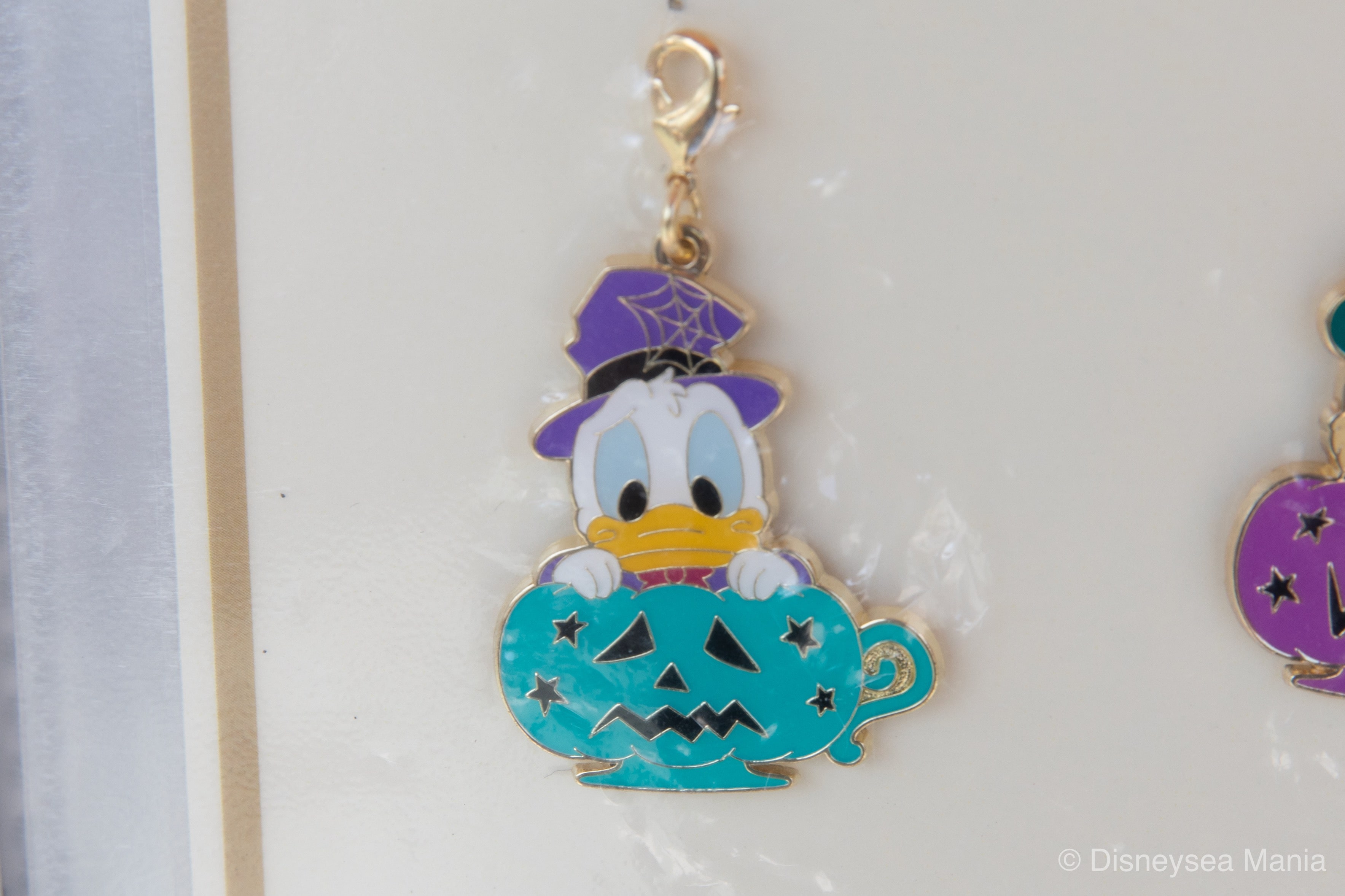 東京ディズニーランド ジャングルカーニバル景品 チャーム ライオンキングセット キーホルダー・アクリルキーホルダ