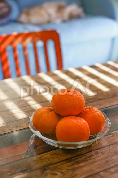 家康くん日記 ・こたつにミカンじゃ。 l 家康くん日記