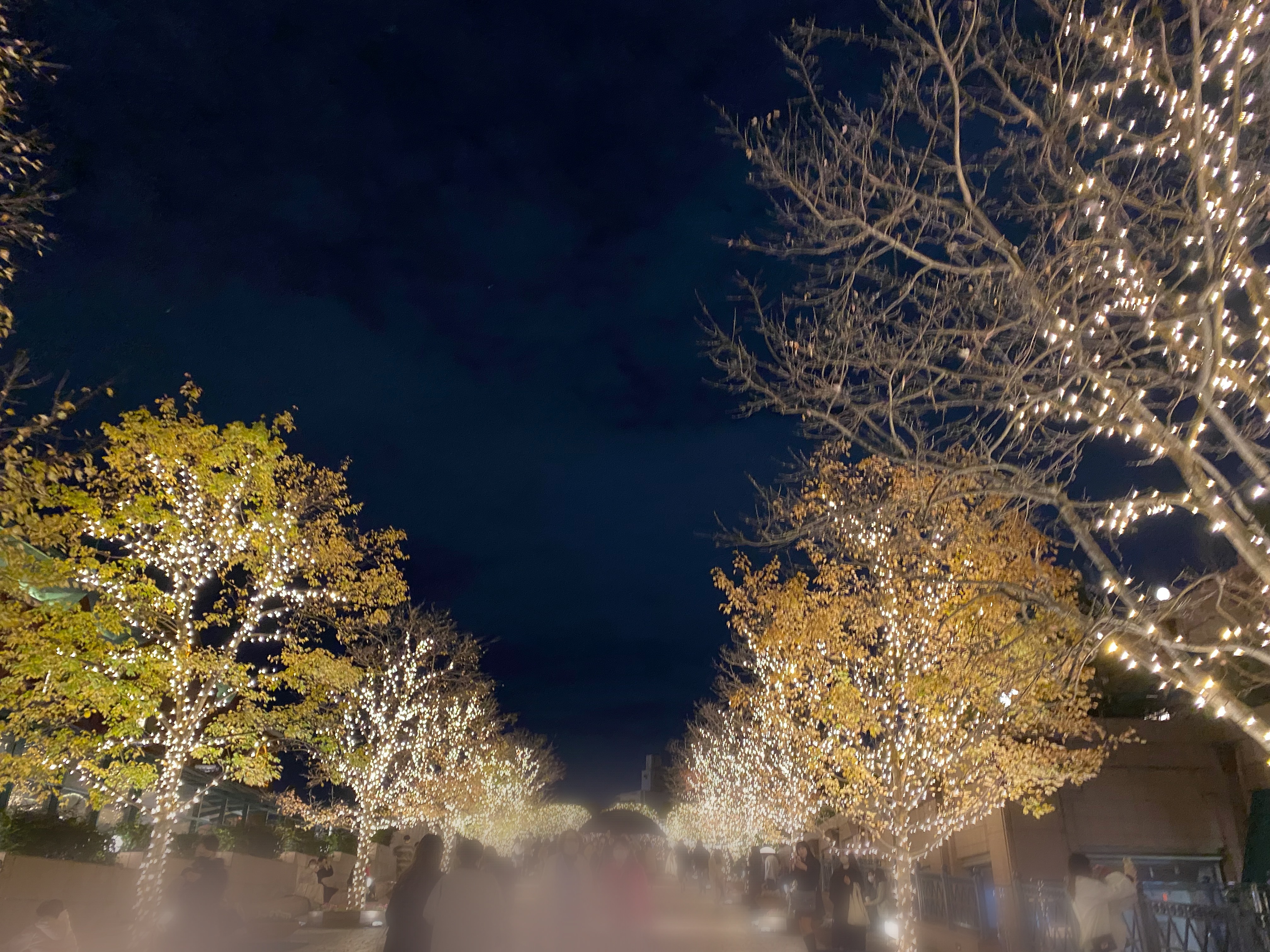 2024 恵比寿イルミネーションの期間や周辺レストランを徹底解説！aumo アウモ