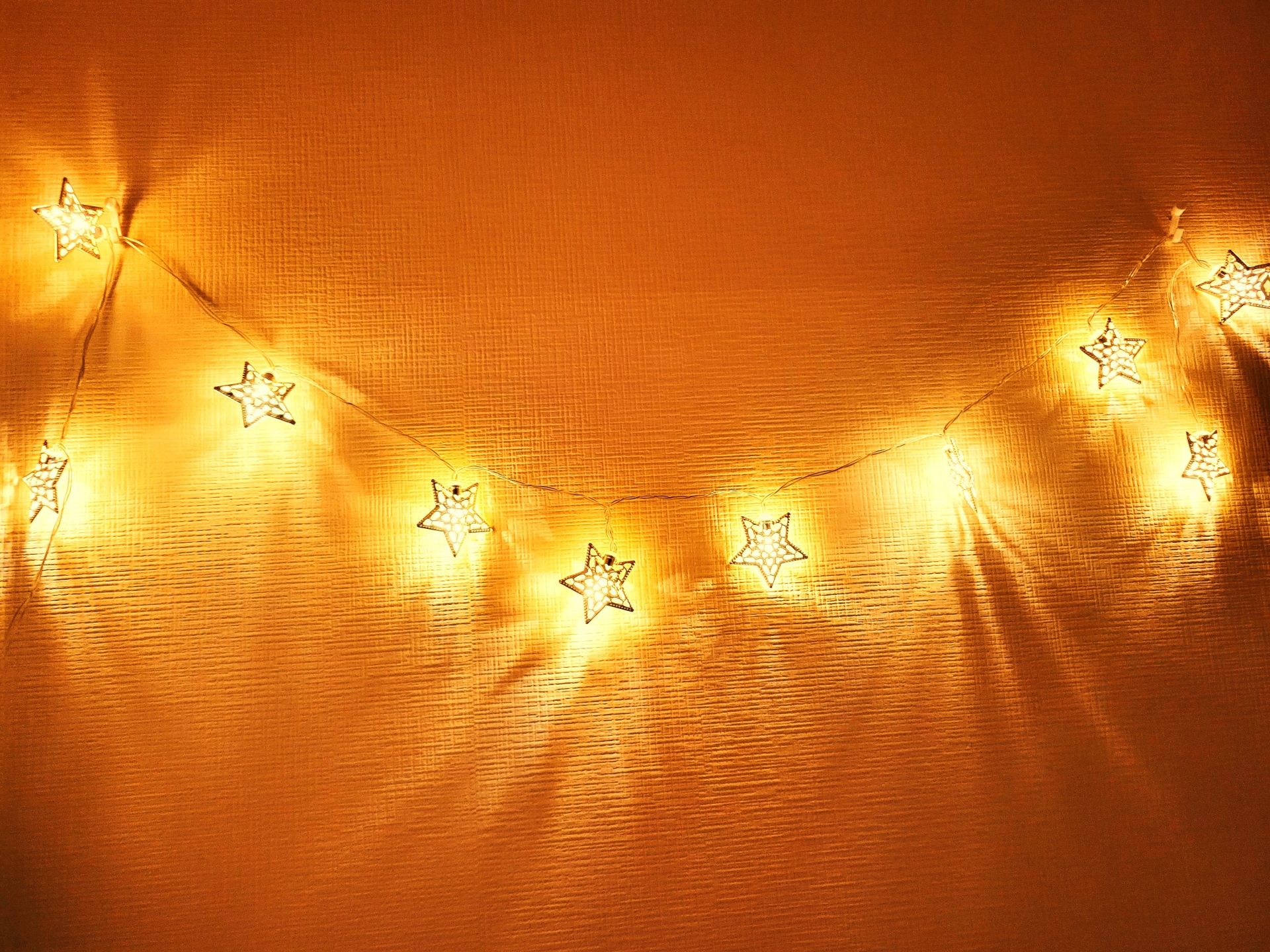 庭でイルミネーションを楽しもう！ 設置方法・アイデア・注意点を徹底解説GardenStoryガーデンストーリー