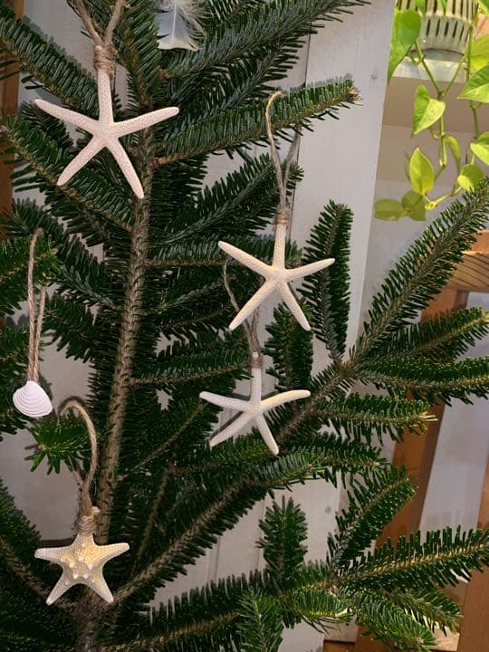 クリスマス壁飾り用ガーランド 宅Gの通販ケイララ