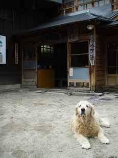 Amazon.co.jp: ちびまる子ちゃんDVD BOX〜ゆかいなものがたり編〜DVD: 本