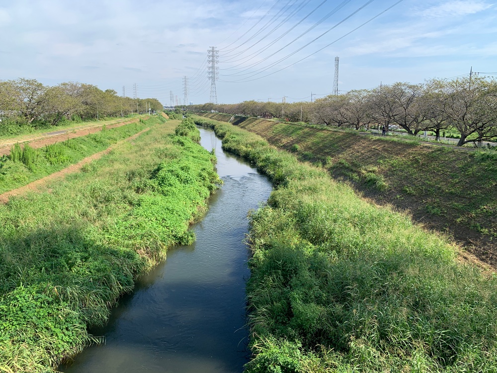 平塚 「第25回 渋田川桜まつり」2024年3 31 日- とことこ湘南