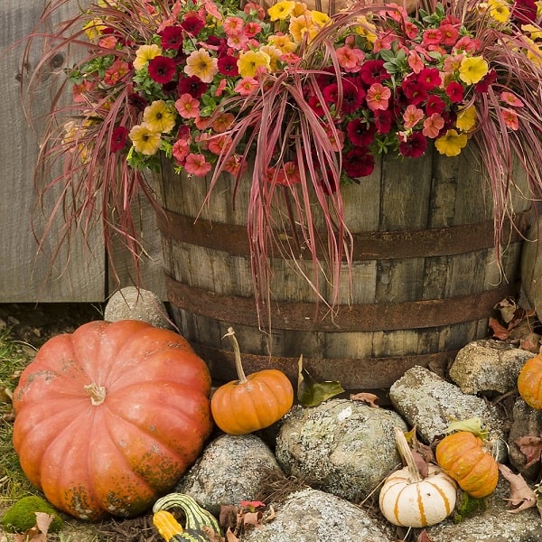 新品 ハロウィン飾りセット室内屋外庭置物おばけハロウィーン装飾ガーティ・の通販 by トレンド市場ラクマ