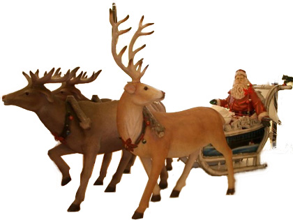 サンタクロースのソリを引くトナカイはみんなメス - 株式会社バイオーム