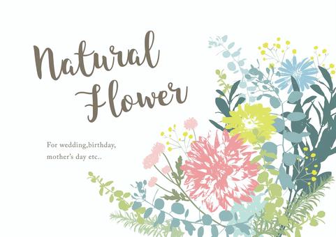 ボード「結婚 メッセージ」に最高のアイデア 9 件結婚 メッセージ, 手書きフレーム, メッセージカード イラスト