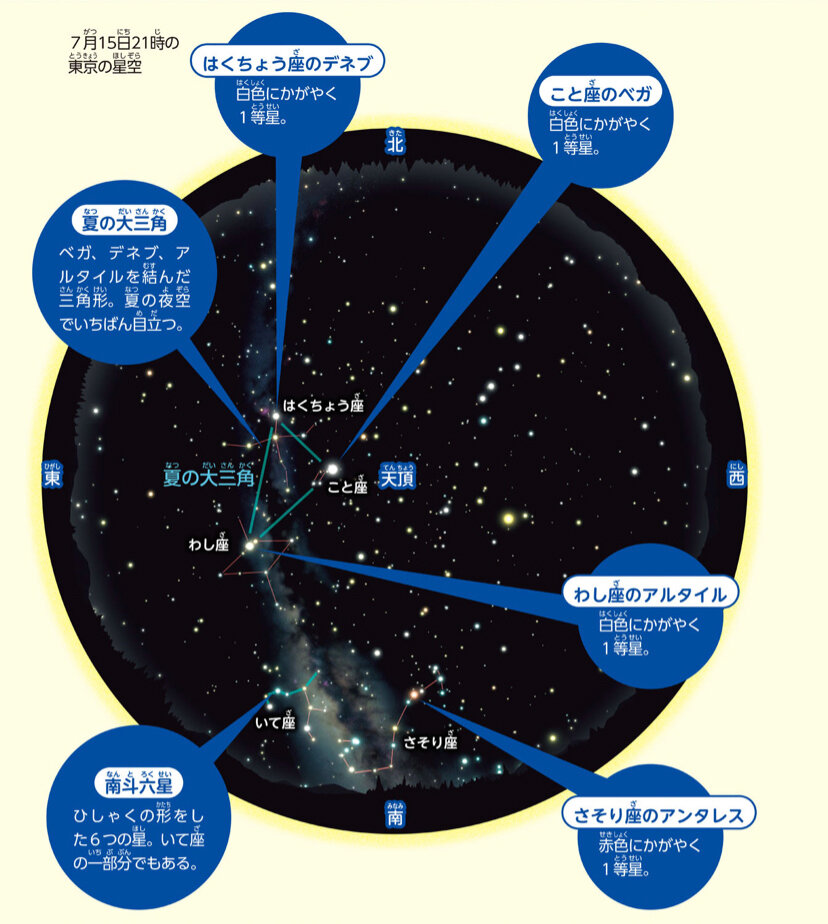 墨田区今日は何の日☁織姫と彦星が出会う「七夕」☁隅田川テラスから撮影した「夏の大三角」は、肉眼で見えるぐらいすごい綺麗です☆彡「織姫星ベガ 」と「彦星 アルタイル 」がスカイツリーの天空で出会いました🔭 今夜は七夕ですが、晴れ予報できれい輝く