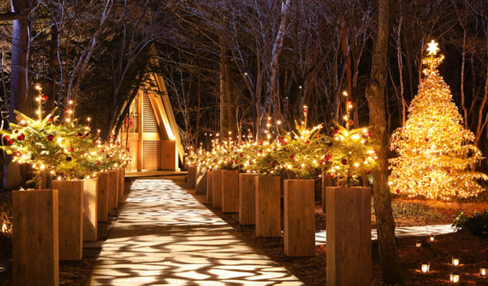 軽井沢高原教会 星降る森のクリスマス」。6mのきらびやかなクリスマスツリー、ランタンを片手に森散策も - OZmall