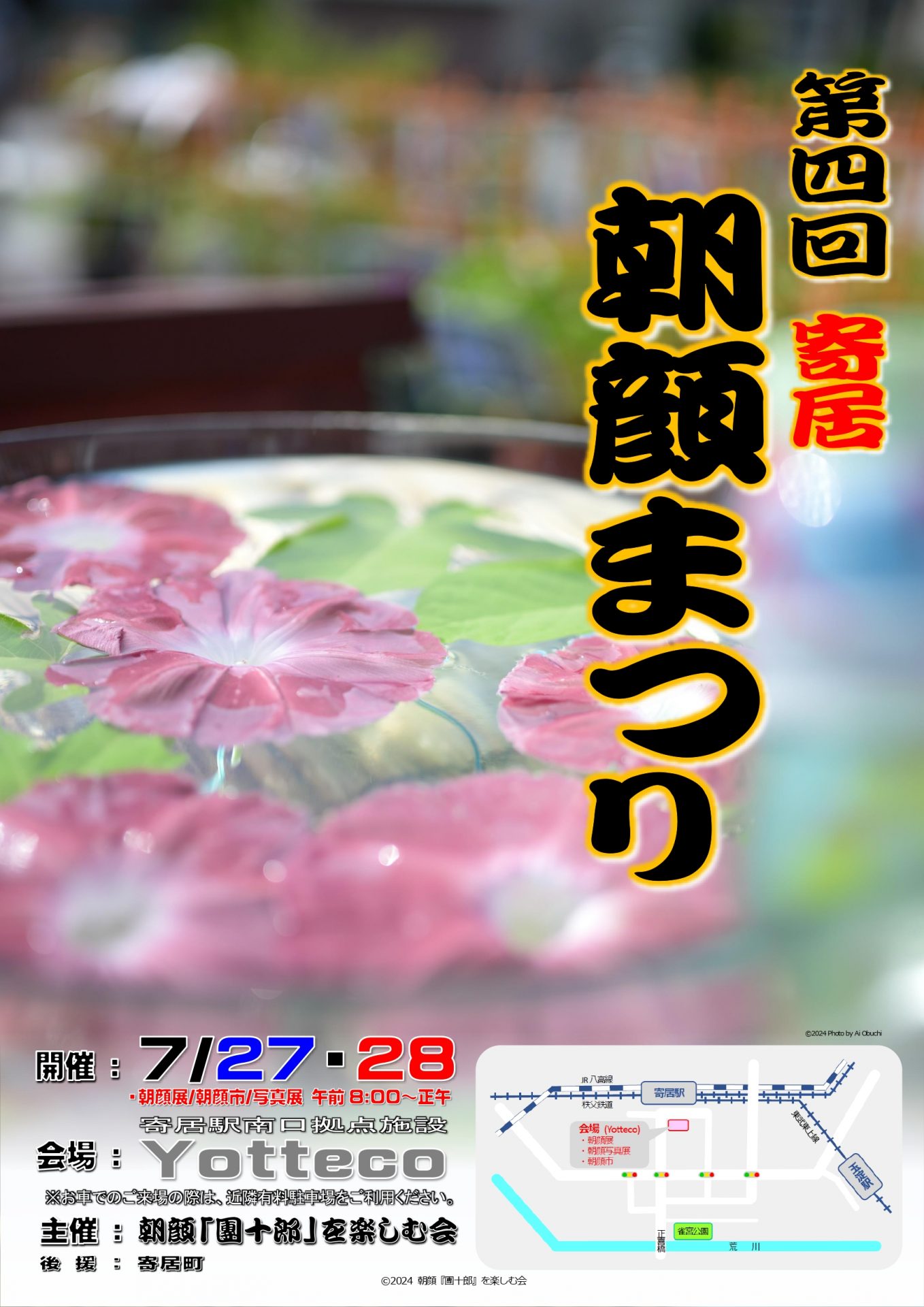 朝顔「団十郎」をいただきました。かわはくブログ